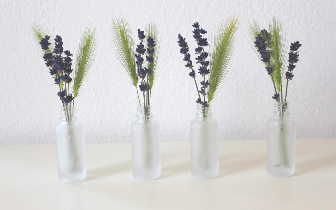 5 Unique Ways Lavender Can Improve Your Daily Life