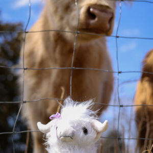 Lavender Kisses Farm highland cow stuffie